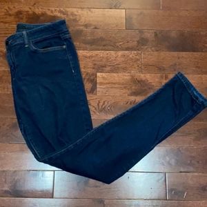 Joe's Jean's Skinny Visonarie Sz 31